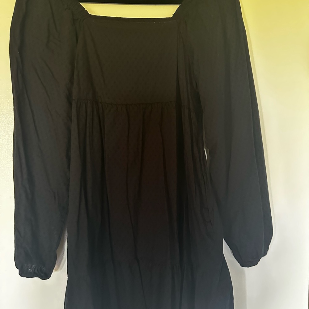 Universal Thread Black Garment
